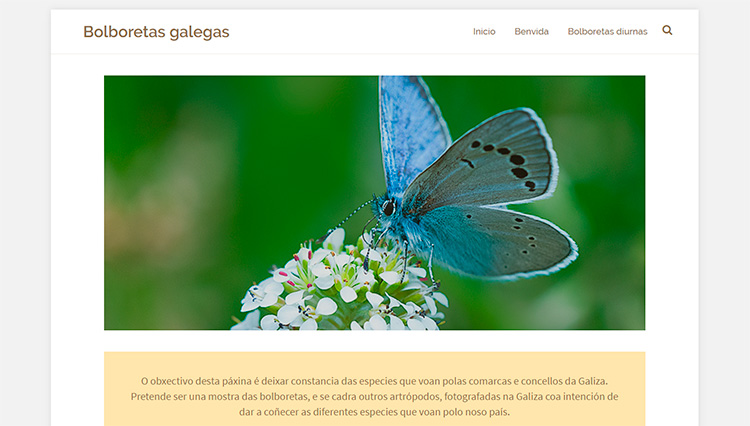 Diseño web Bolboretas galegas